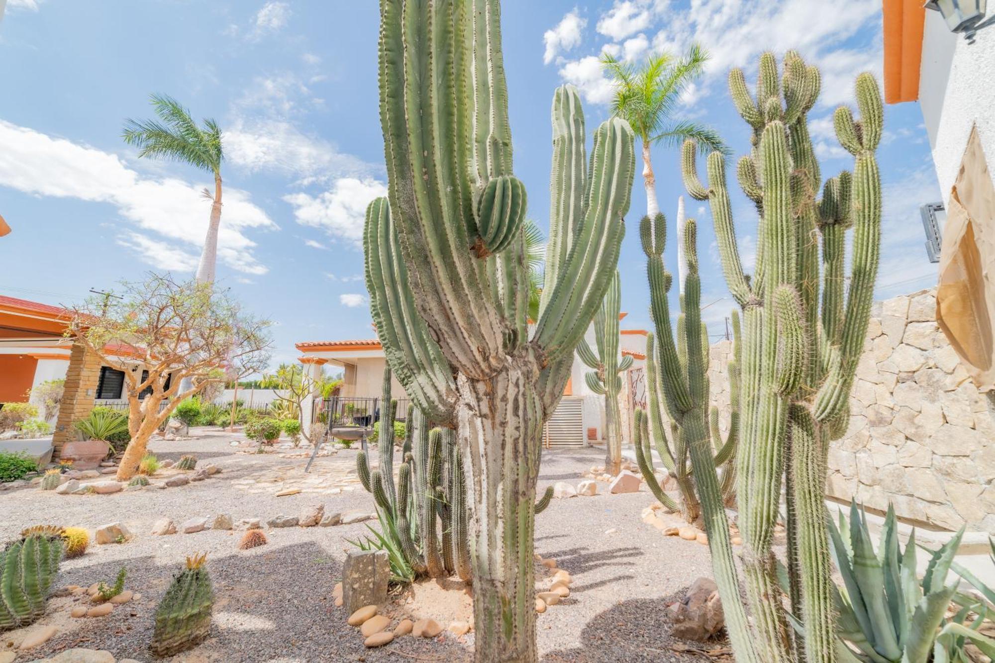 Go Baja 2 Bedroom Villa La Paz